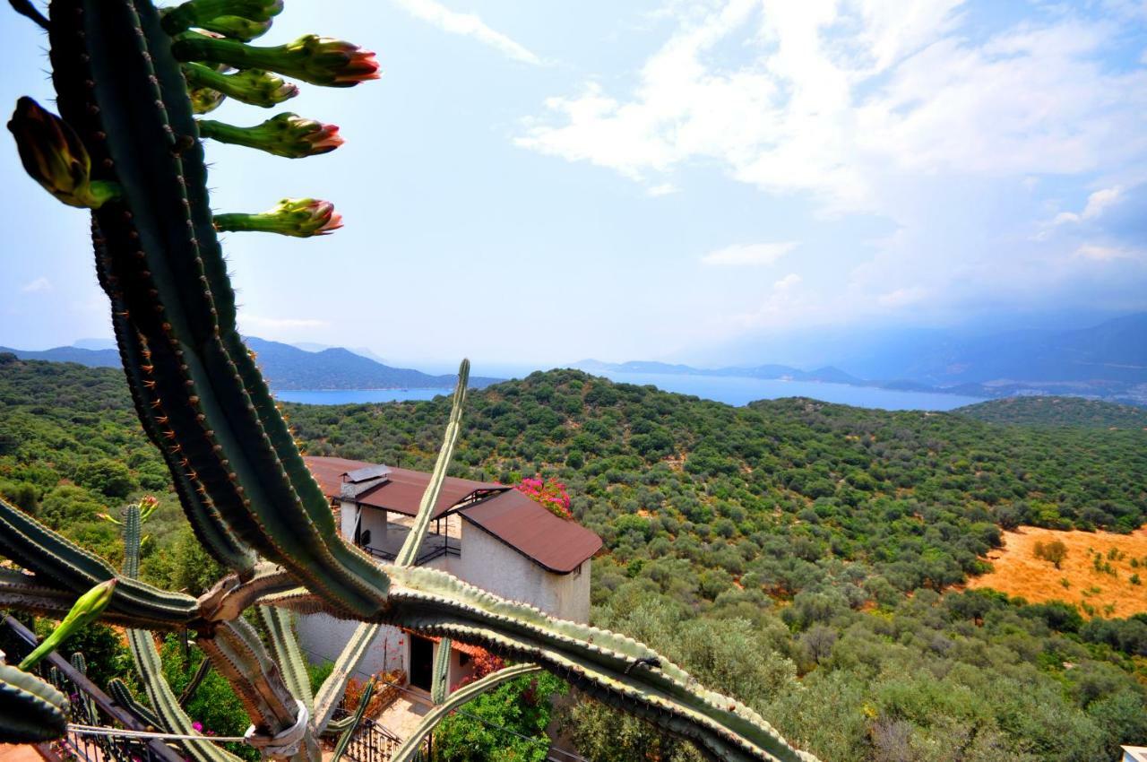 Villa Kaktus Kaş Dış mekan fotoğraf
